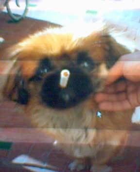 ecstaaaaaaaaaaaa